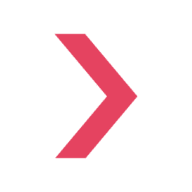 Network International logo
